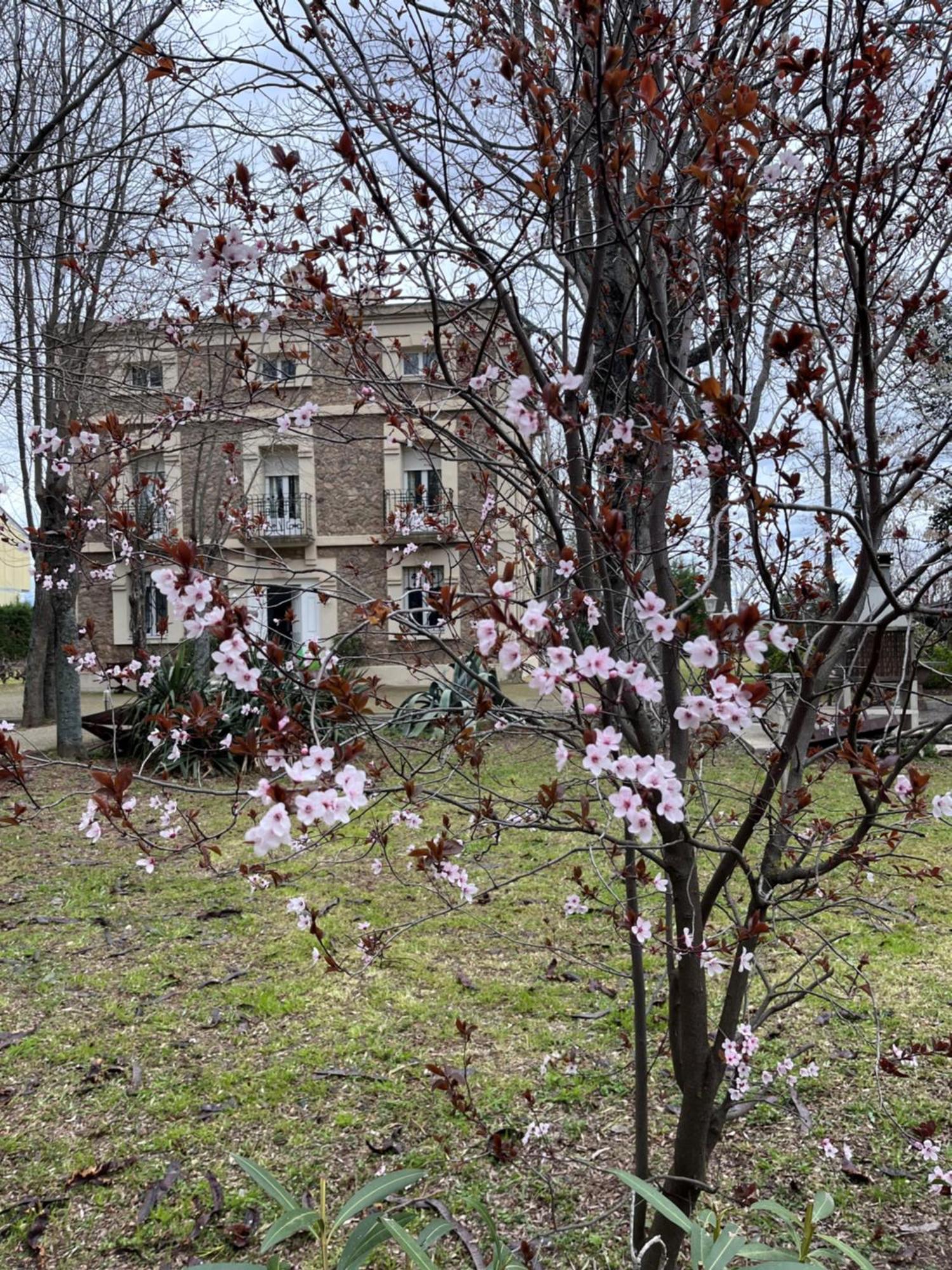 Villa Merenciana Agoncillo Kültér fotó
